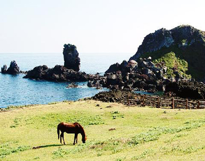 [JP-02] 제주도 완전정복 마라도+우도 *노팁&노옵셥*