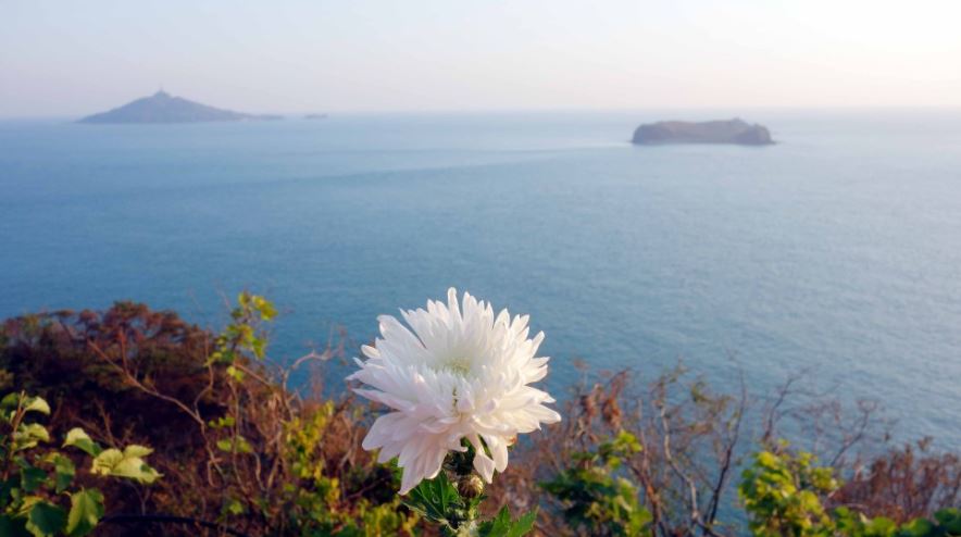 [A-11] 연평도 생태체험+평화공원 당일여행