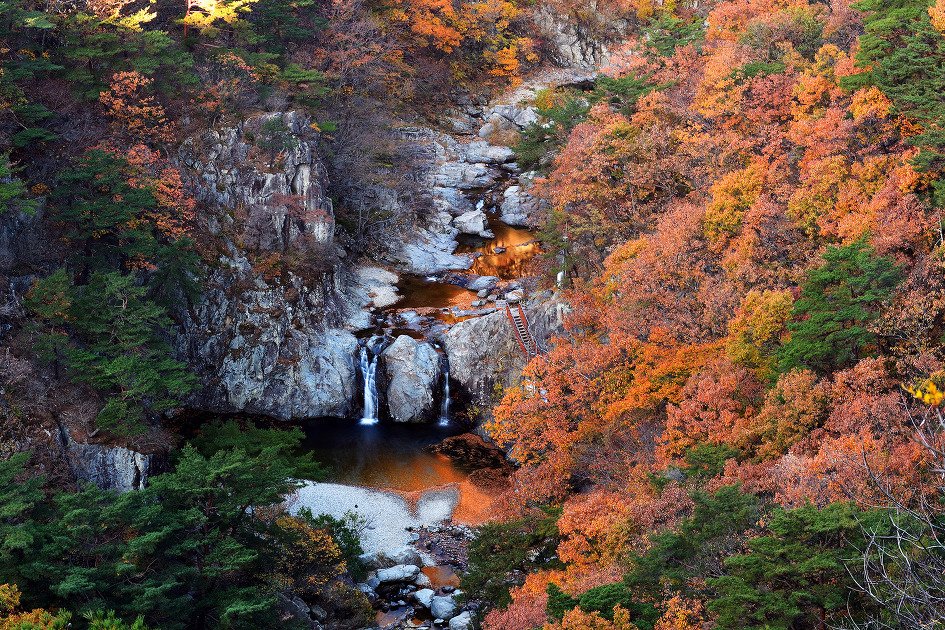 [B-118] 경주 천년숲정원 단풍+포항 1박2일