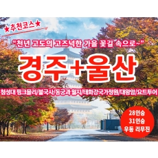 [B-118] 추천여행 경주+울산 1박2일 가을여행