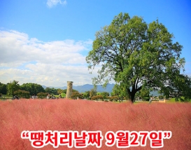 [B-118] 경주 천년숲정원 단풍+포항 1박2일