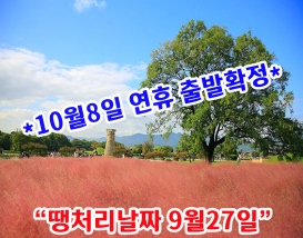 [B-118] 경주 천년숲정원 단풍+포항 1박2일