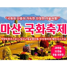 [B-126] 마산국화축제+창원+함안+합천 1박2일 가을여행