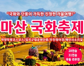 [B-126] 마산국화축제+창원+함안+합천 1박2일 가을여행