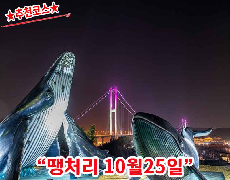 [B-17S] 추천코스 울산+밀양 1박2일