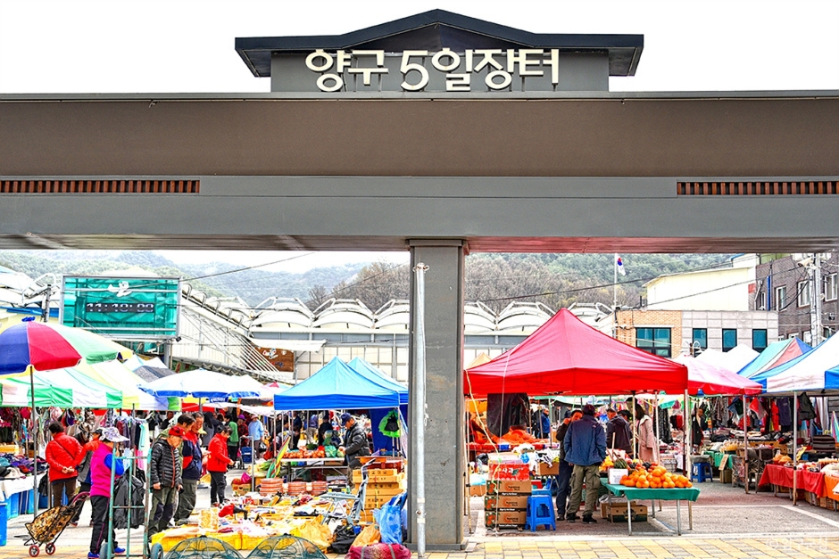 [B-185] 강원도 속초 설악산케이블카+양구 두타연 1박2일 가을여행