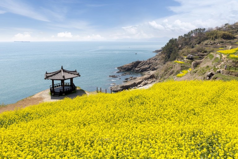 [B-22A] 사계절 아름다운 곳! 시즌2 남해+사천+산청 1박2일