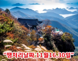 [B-22C] 땡처리 날짜(11월16,30일)추천여행 시즌2! 산과 바다 모두 즐기는 남해+사천+산청 1박2일 가을여행