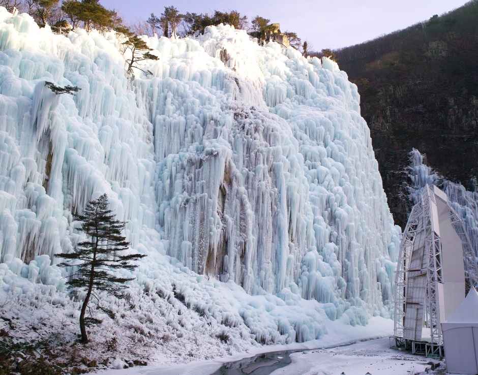 [B-26D] 영양 자작나무숲+청송 온천+포항 1박2일