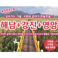 [B-30C] 추천여행 강진만 갈대+해남+영암 월출산 국화축제 1박2일