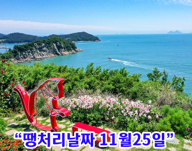 [B-45C] 고흥 쑥섬(애도)+영암 국화축제 1박2일