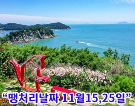 [B-45C] 고흥 쑥섬(애도)+영암 국화축제 1박2일