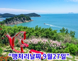 [B-45C] 고흥 쑥섬(애도)+영암 국화축제 1박2일