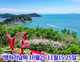[B-45C] 고흥 쑥섬(애도)+영암 국화축제 1박2일