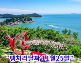 [B-45C] 고흥 쑥섬(애도)+영암 국화축제 1박2일