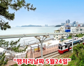 [B-48] 추천코스 시즌2! 바다와 낭만이 있는 부산 일주투어