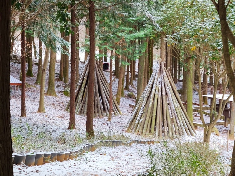 [B-70D] 신안 애기동백축제(축제기간 25년 12/19 ~ 26년 1/18일)+목포+해남+장흥 1박2일