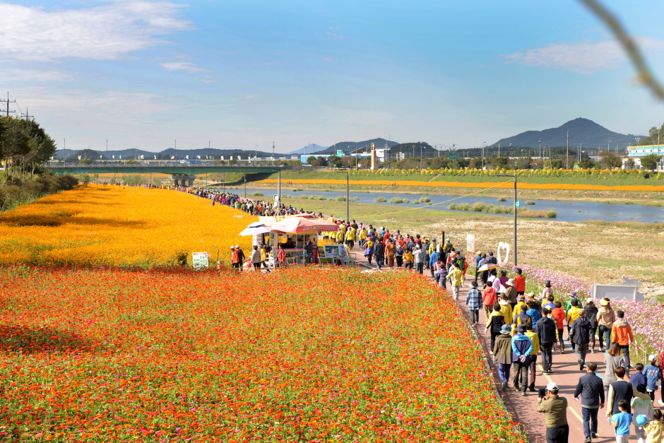 [B-71C] 추천여행 신안 병풍도 맨드라미축제+나주+장성 1박2일