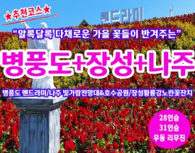 [B-71C] 추천여행 신안 병풍도 맨드라미축제+나주+장성 1박2일