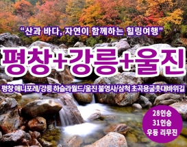 [B-72] 추천여행 강원도 평창+강릉+울진 1박2일