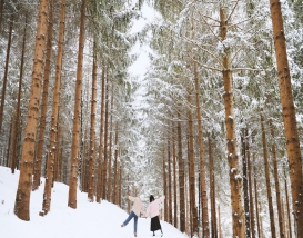 [B-72] 추천코스 강원도 평창+강릉+울진 1박2일