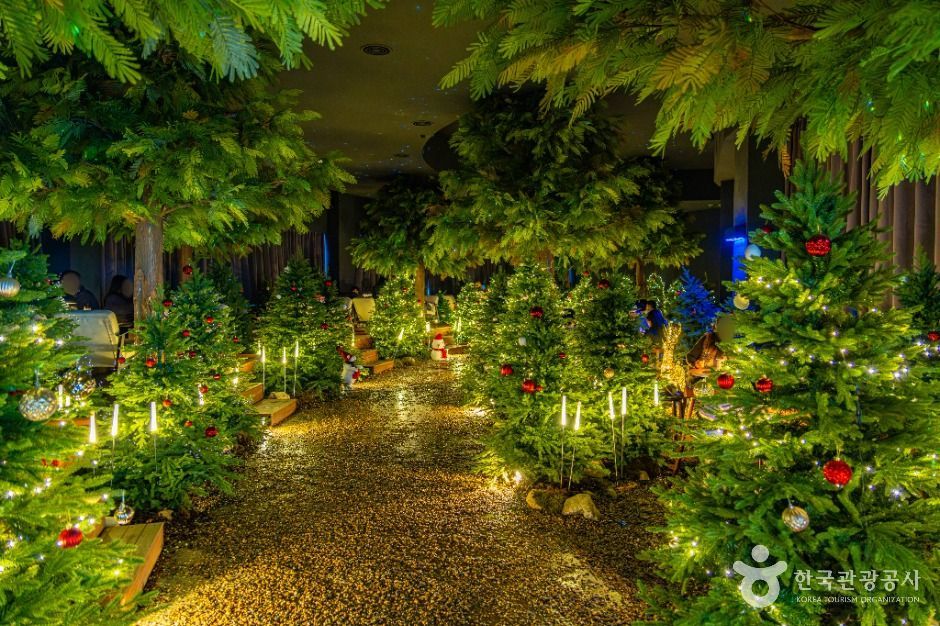 [C-104D] 덕유산 곤도라 설경+무주 무심원카페