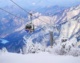 [C-104D] 덕유산 곤도라 설경+무주 무심원카페