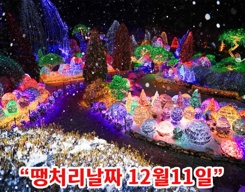 [C-107D] 가평 아침고요수목원 별빛축제+구곡얼음폭포