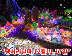 [C-107D] 가평 아침고요수목원 별빛축제+구곡얼음폭포