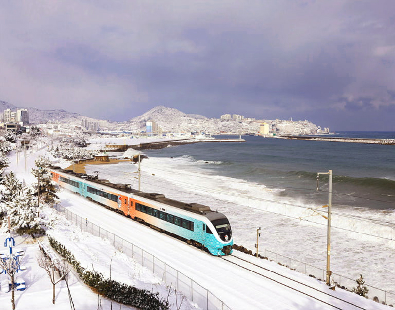 [C-113] 동해바다산타열차(강릉>동해)+묵호등대+도째비골 스카이밸리&해랑전망대