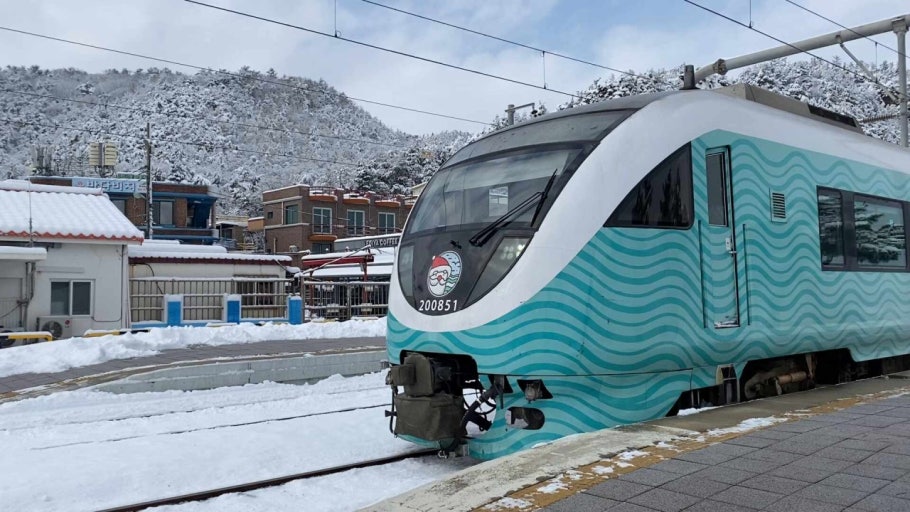 [C-113] 동해바다산타열차(강릉>동해)+묵호등대+도째비골 스카이밸리&해랑전망대