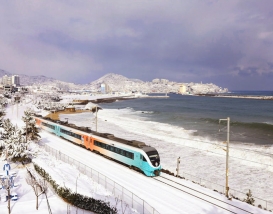 [C-113] 동해바다산타열차(강릉>동해)+묵호등대+도째비골 스카이밸리&해랑전망대