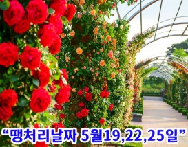 [C-120B] 삼척장미공원 장미축제+동해무릉계곡 산책길