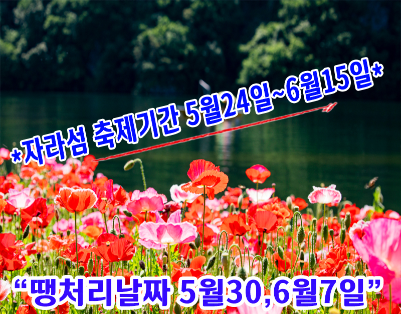 [C-121] 가평 북한강 전기크루즈+남이섬+자라섬 꽃 페스타