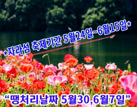 [C-121] 가평 북한강 전기크루즈+남이섬+자라섬 꽃 페스타