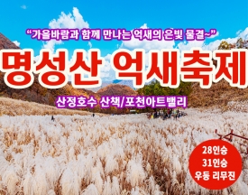 [C-125] 포천 가을여행 명성산 억새축제&산정호수+포천아트밸리