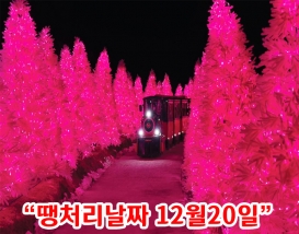 [C-125D] 포천 허브아일랜드 야경+포천 아트밸리 겨울여행