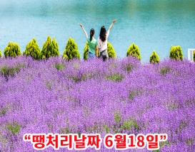 [C-131] 동해 라벤더명소 무릉별유천지+무릉계곡