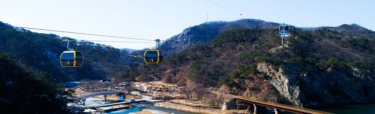 [C-132B] 25년 2월 신규개장! 원주 소금산케이블카&소금산그랜드밸리+치악산 구룡사&계곡