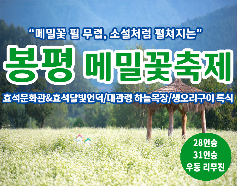 [C-147] 강원도 가을여행 봉평 메밀꽃축제+대관령 하늘목장+생오리구이 특식