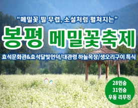 [C-147] 강원도 가을여행 봉평 메밀꽃축제+대관령 하늘목장+생오리구이 특식