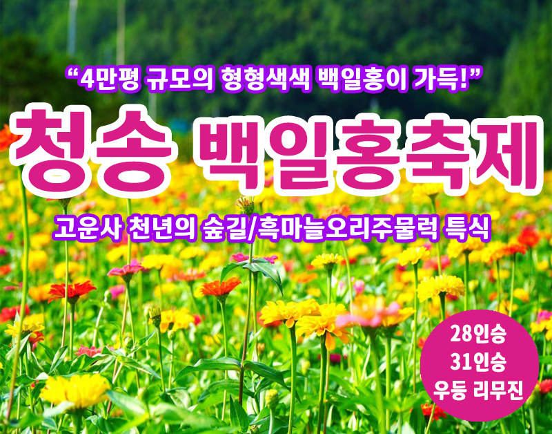 [C-148] 청송 가을여행 산소카페 청송정원 백일홍축제+고운사 천년의 숲길+의성흑마늘오리주물럭 특식