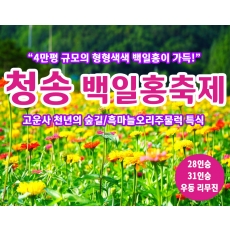 [C-148] 청송 가을여행 산소카페 청송정원 백일홍축제+고운사 천년의 숲길+의성흑마늘오리주물럭 특식