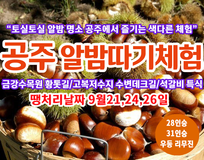 [C-150C] 땡처리 날짜(9월21,24,26일) 공주 가을여행 알밤따기체험+금강수목원 황톳길+고복저수지 데크길+석갈비 특식