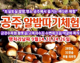 [C-150C] 땡처리 날짜(9월14,21,24,26일) 공주 가을여행 알밤따기체험+금강수목원 황톳길+고복저수지 데크길+석갈비 특식