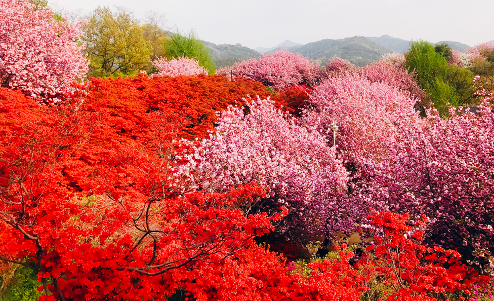 [C-16A] 전주 완산 칠봉꽃동산+기지제 수변공원 야경