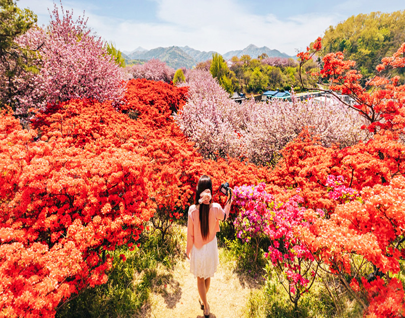 [C-16A] 전주 완산 칠봉꽃동산+기지제 수변공원 야경