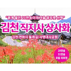 [C-180] 김천 직지사 상사화&사명대사공원+김천 연화지 둘레길