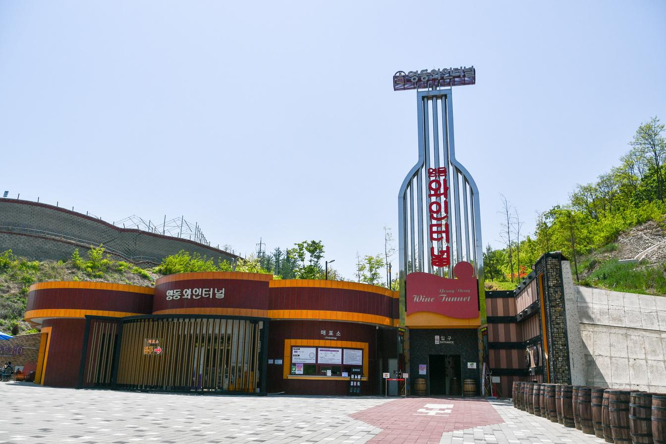 [C-181] 노마진상품! 영동 월류봉둘레길+와인터널+레인보우힐링센터 족욕체험