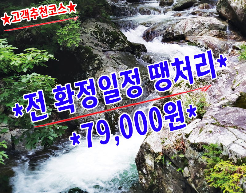 [C-181] 노마진 고객추천상품! 영동 물한계곡&황룡사+와인터널+레인보우힐링센터 족욕체험